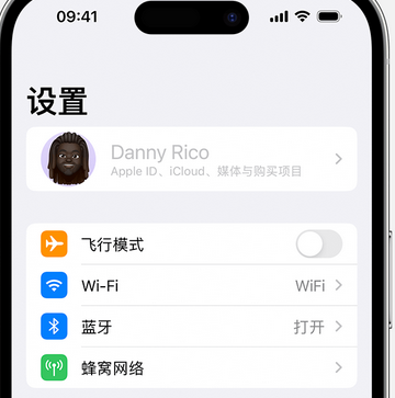 鲁甸appleID维修服务iPhone设置中Apple ID显示为灰色无法使用 