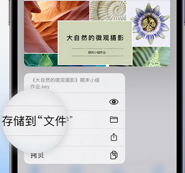 鲁甸apple维修中心分享iPhone文件应用中存储和找到下载文件