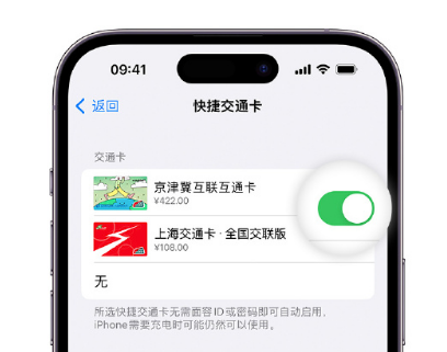 鲁甸apple维修点分享iPhone上更换Apple Pay快捷交通卡手绘卡面 