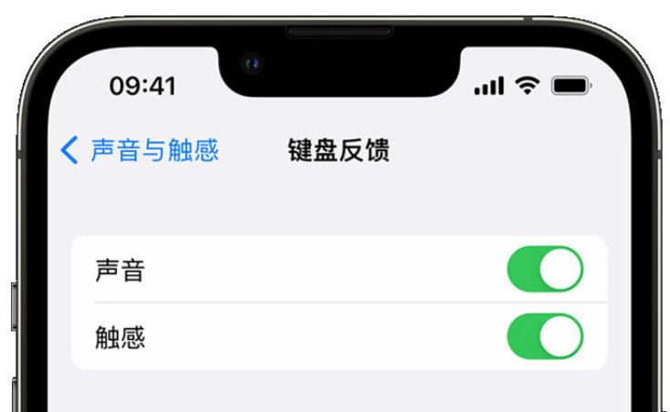 鲁甸苹果手机维修分享iPhone 14触感键盘使用方法 