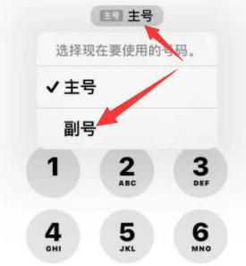 鲁甸苹果14维修店分享iPhone 14 Pro Max使用副卡打电话的方法 