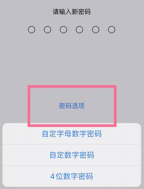 鲁甸苹果14维修分享iPhone 14plus设置密码的方法 