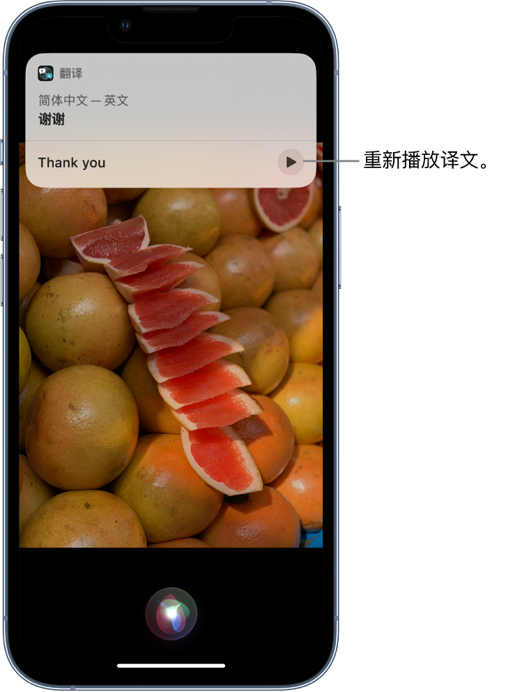 鲁甸苹果14维修分享 iPhone 14 机型中使用 Siri：了解 Siri 能帮你做什么 