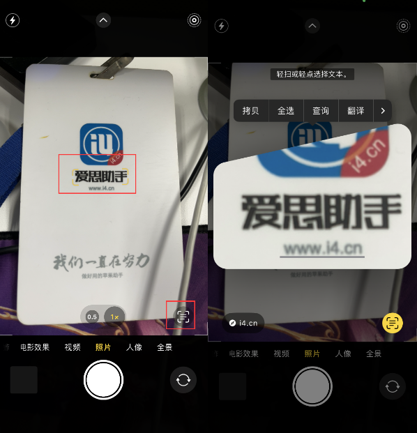 鲁甸苹果手机维修分享升级iOS 16后如何通过相机翻译文本 