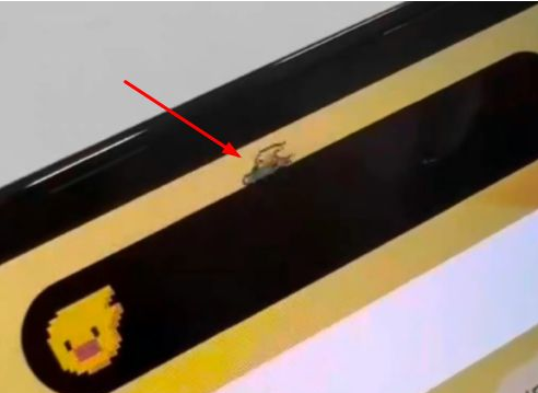 鲁甸苹果14维修分享iPhone 14 Pro Max灵动岛怎么养宠物 