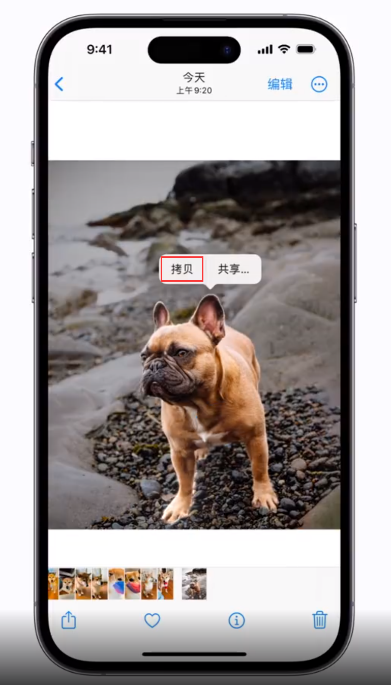 鲁甸苹果手机维修分享 iOS 16 自带一键抠图功能 