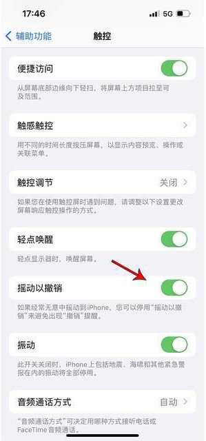 鲁甸苹果手机维修分享iPhone手机如何设置摇一摇删除文字 