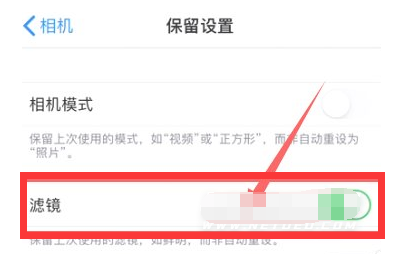 鲁甸苹果13维修分享iPhone13拍照有绿点是怎么回事 