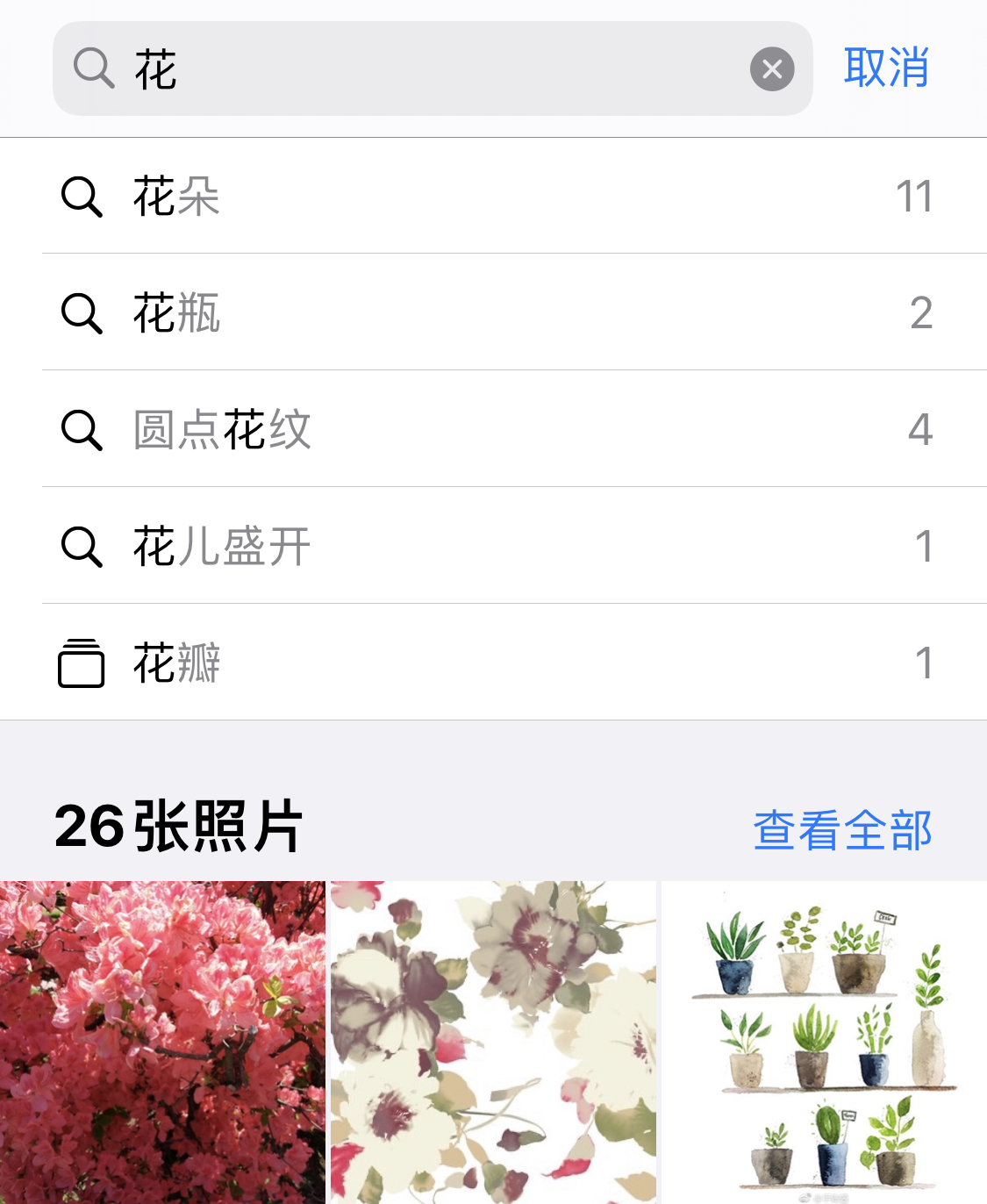 鲁甸苹果手机维修分享iPhone 小技巧 