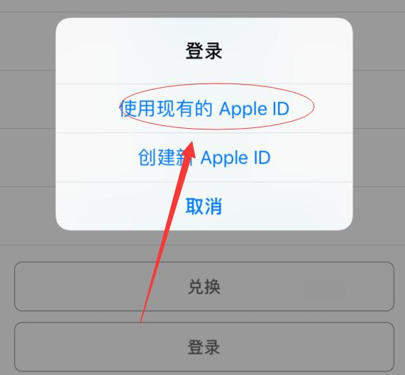 鲁甸苹果手机维修分享两台iPhone设备可以同时登录一个Apple ID吗 