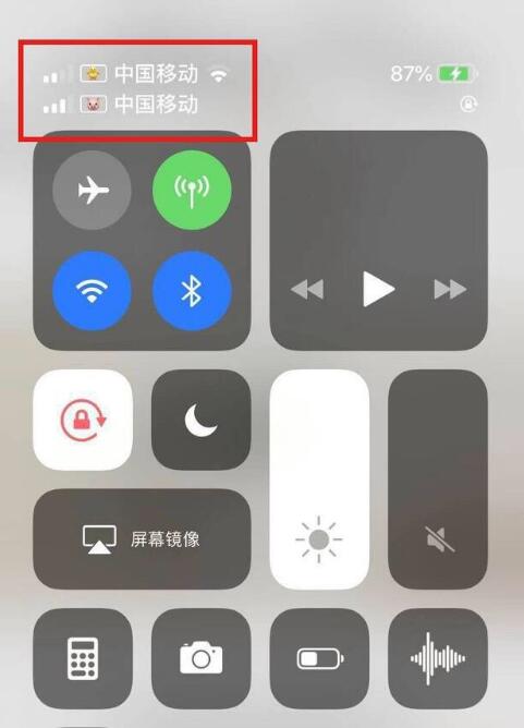 鲁甸苹果手机维修分享为 iPhone 12 双卡设置标签 