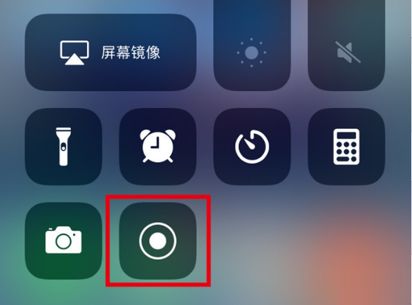 鲁甸苹果手机维修分享iPhone12录屏方法教程 